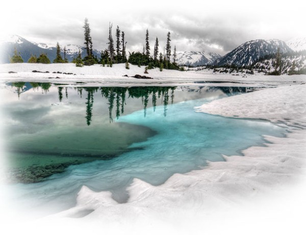 Snowy Landscape